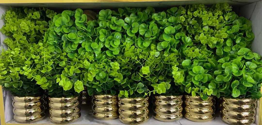 163fc6a3-930c-4a81-93a7-cb1a7eb50ebb