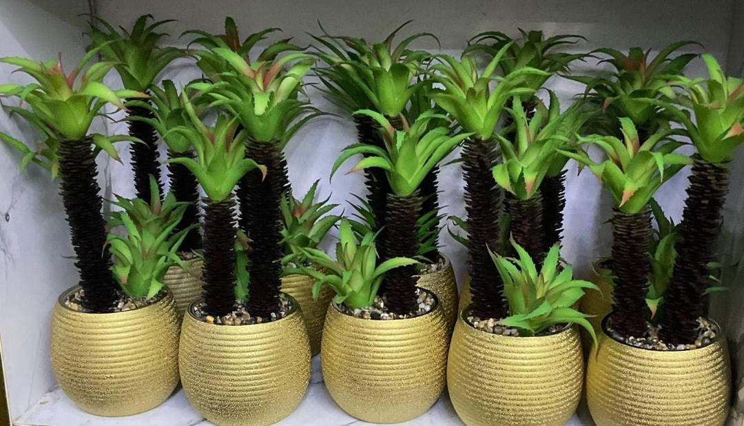 197fab0c-b3fa-4d22-8233-7aed5ac62bcf