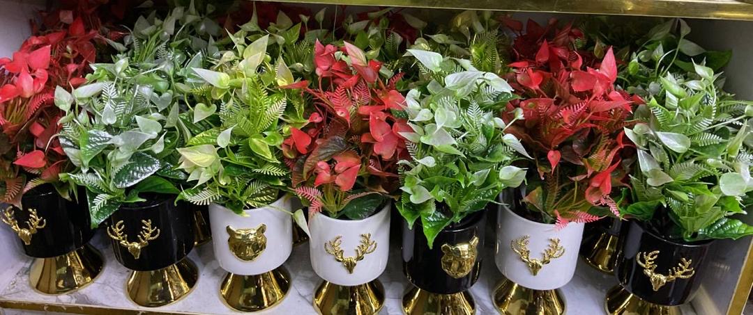 4ffc1c16-7d19-44c3-ad6d-bd1747b17d68