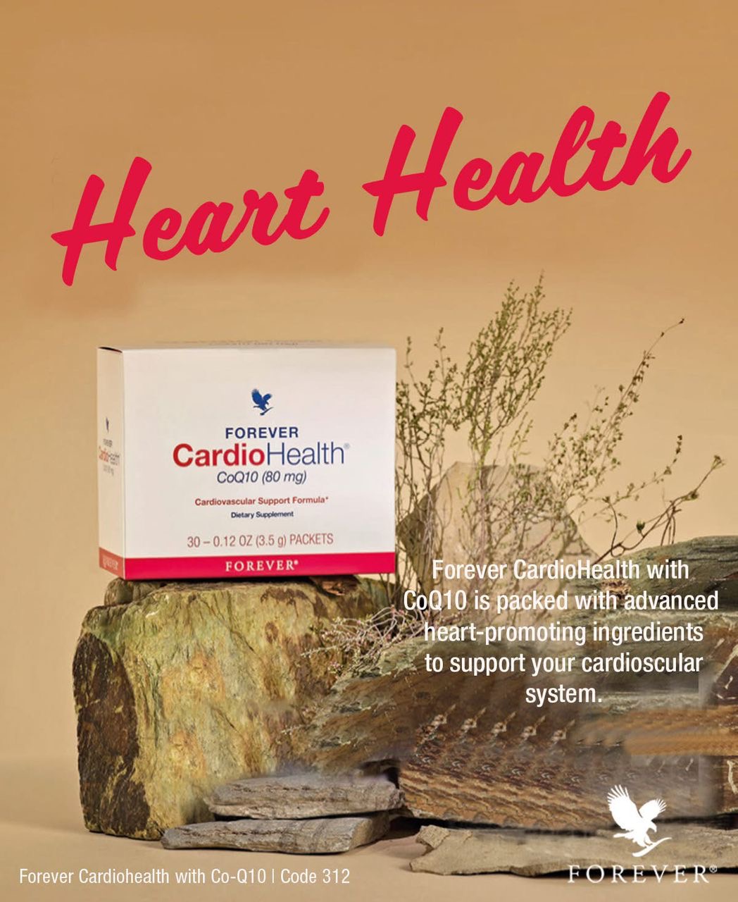 f866c004-ac85-430a-a6e9-e898deec74d4